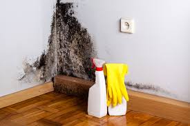 Best Comprehensive Air Testing for Mold Contaminants  in Hermiston, OR